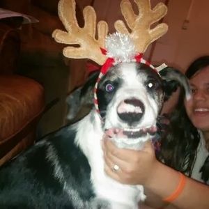 Meet your Posher, Terry